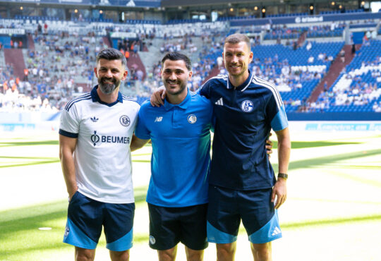 Miron Muslic, Sead Kolasinac und Edin Dzeko