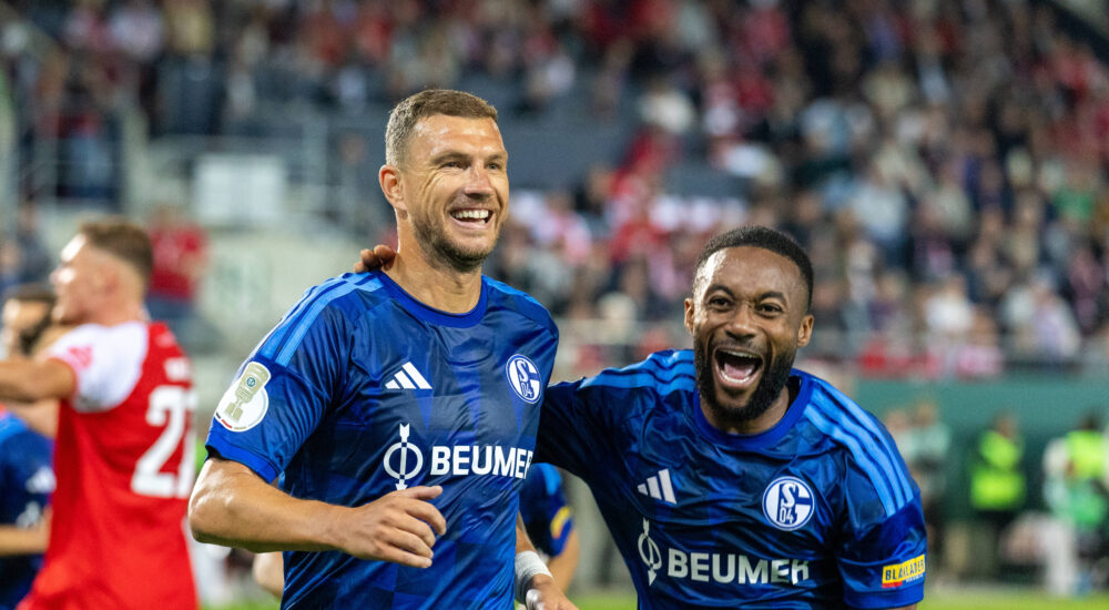 Edin Dzeko und Moussa Sylla