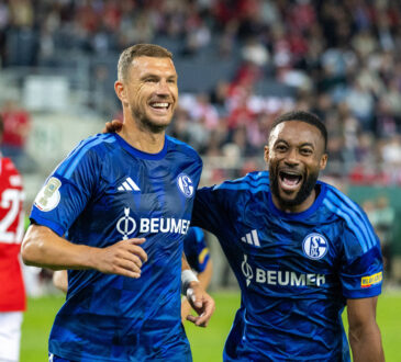 Edin Dzeko und Moussa Sylla