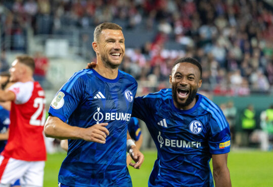 Edin Dzeko und Moussa Sylla