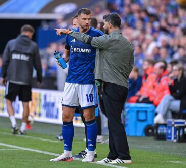 Edin Dzeko und Miron Muslic