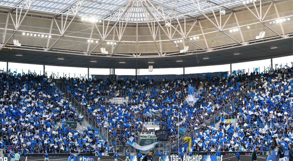 Schalke Fans