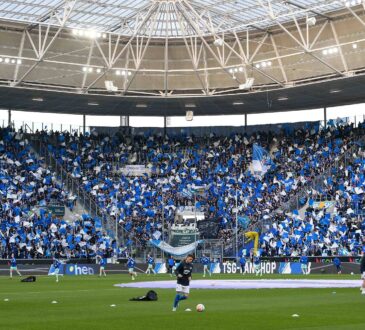 Schalke Fans
