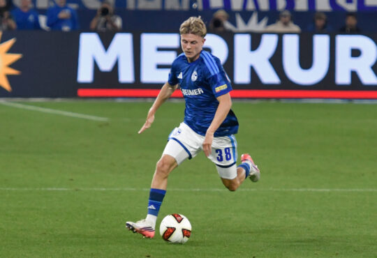 Luca Vozar, Schalke