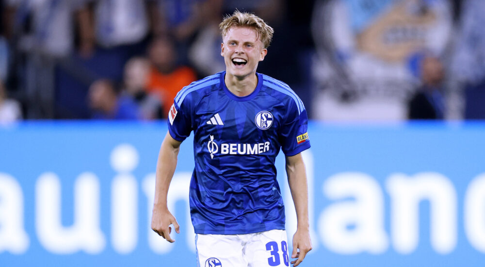 Luca Vozar, Schalke