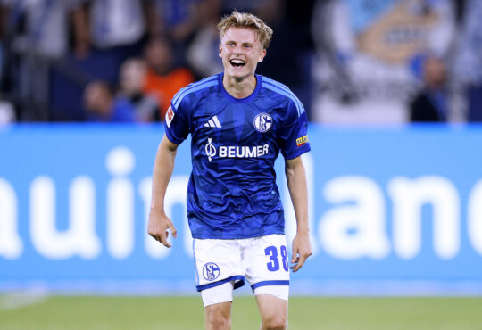 Luca Vozar, Schalke