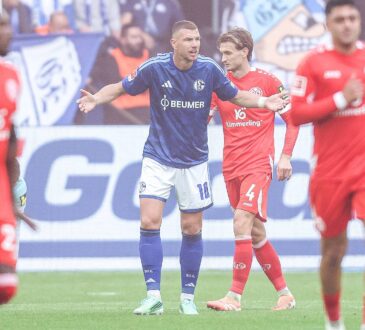 Edin Dzeko