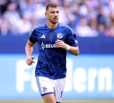 Edin Dzeko