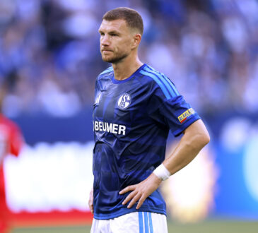 Edin Dzeko