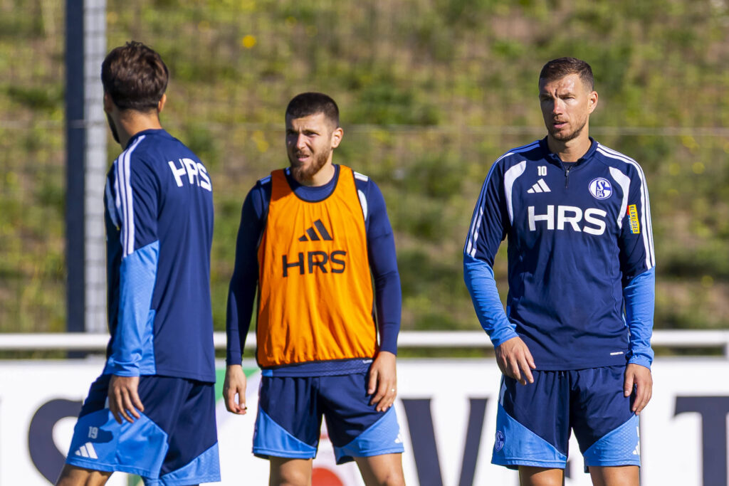 Hasan Kurucay und Edin Dzeko